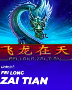 Fei Long Zai Tian