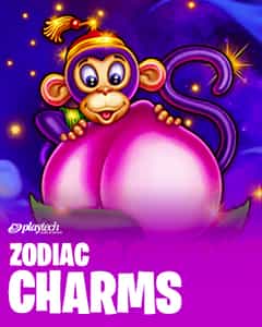 Zodiac Charms