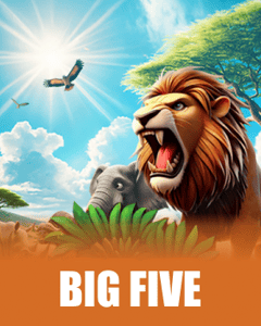 Big Five