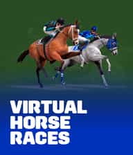 Virtual Horse Races