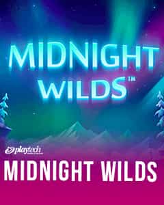 Midnight Wilds