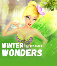 Winter Wonders