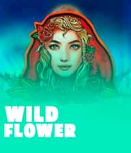 Wild Flower