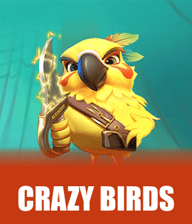 Crazy Birds