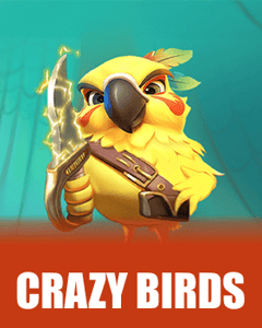 Crazy Birds