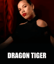 Dragon Tiger