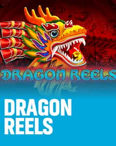 Dragon Reels