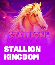 Stallion Kingdom