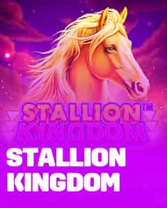 Stallion Kingdom