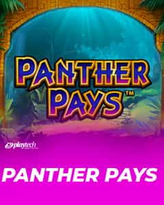 Panther Pays