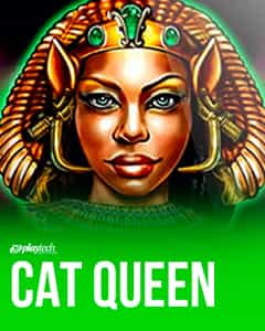 Cat Queen