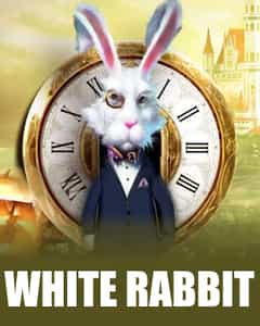 White Rabbit
