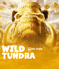 Wild Tundra