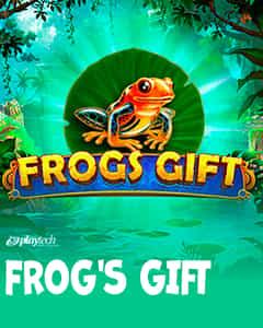Frogs Gift