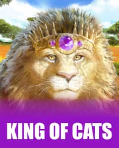 King of Cats