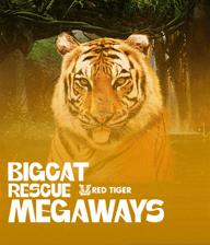 Big Cat Rescue Megaways