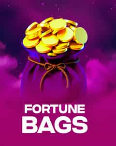 Fortune Bags