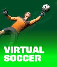 Virtual Soccer