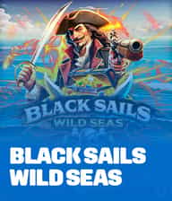 Black Sails Wild Seas