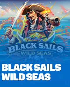 Black Sails Wild Seas
