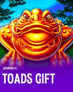 Toads Gift