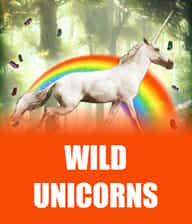 Wild Unicorns