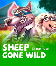 Sheep Gone Wild