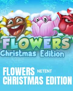 Flowers Christmas
