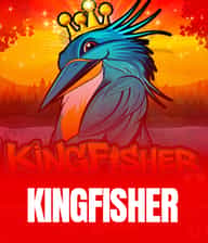 Kingfisher
