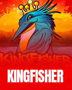 Kingfisher