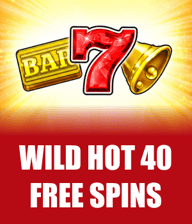Wild Hot 40 Free Spins