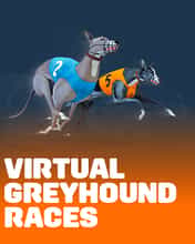 Virtual Greyhound Races
