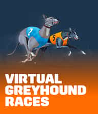 Virtual Greyhound Races