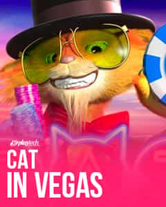 Cat in Vegas