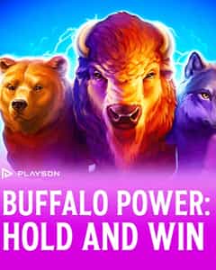 Buffalo Power: Hold and Win