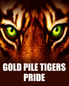 Gold Pile: Tigers Pride