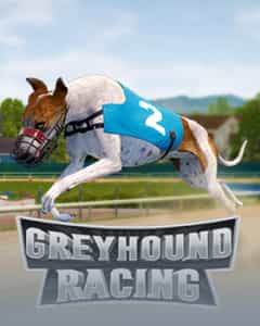 Greyhound Racing