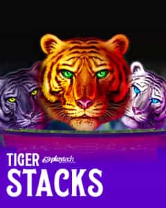 Tiger Stacks