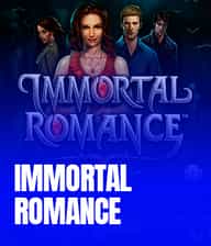 Immortal Romance Video Bingo